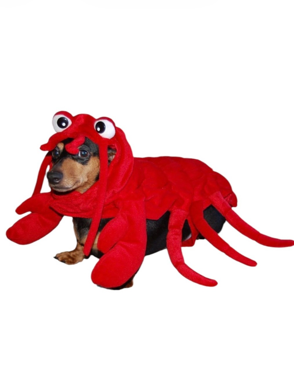 Red Plush Lobster Dog Costume with Orange Tail Accent from Target